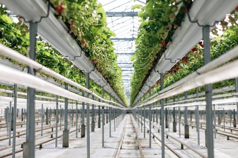 UK S&A Produce