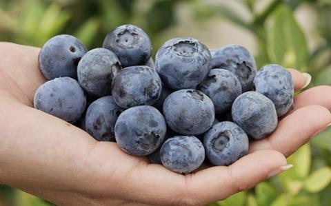 FCM14-057 Fall Creek