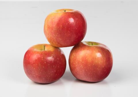 Candine-Fruit (8)