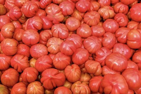 Spanish tomatoes Valencia market Adobe Stock