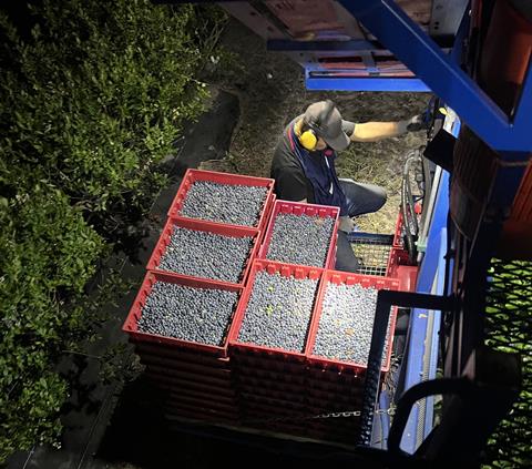 RS BSK Blueberry harvester1