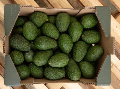 Montosa - Avocados
