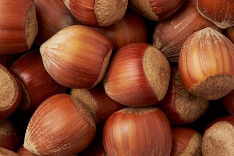 Hazelnuts Adobe Stock