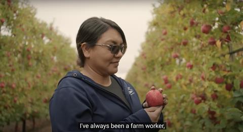 Maggie Torres, Stemilt Growers
