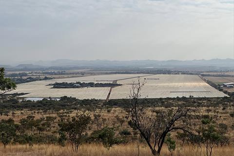 Nyami Berries Ozblu production South Africa