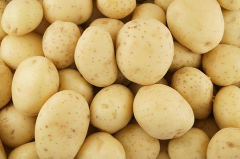 Potatoes Adobe Stock