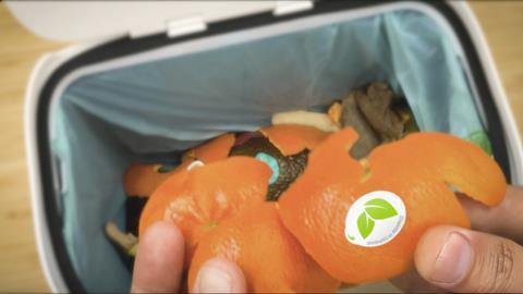 Sinclair Dispose in compost