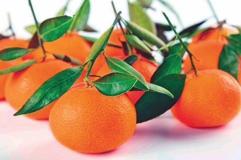 Earlyna mandarin