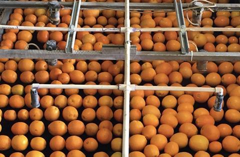 Akorn Technology citrus line