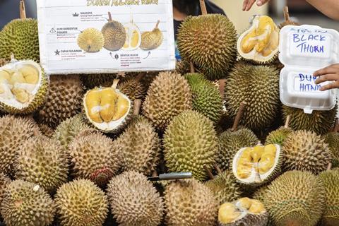 Malaysian Durian Black Thorn Musang King Adobe Stock