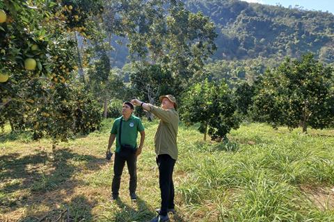 Jucy Gold Oranges Eosta Senior Product Manager Peke van Beek at Kivinaki in field