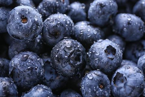 Blueberries Adobe stock