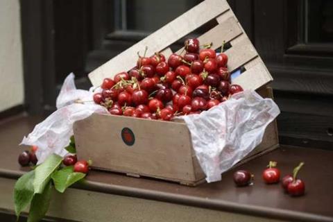 Spanien Kirschen Cereza Jerte