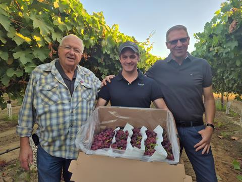 Tiqi grapes Shachar Karniel Grapa Global Jacobus van der Merwe Fruitips Rafi Karniel Grapa