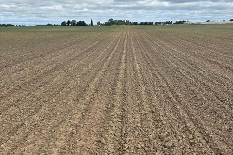 Drought in AH Worth field