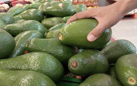 Picking avocado up in supermarket