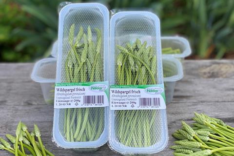 Wildspargel frisch Schalen - Pilze Niklas