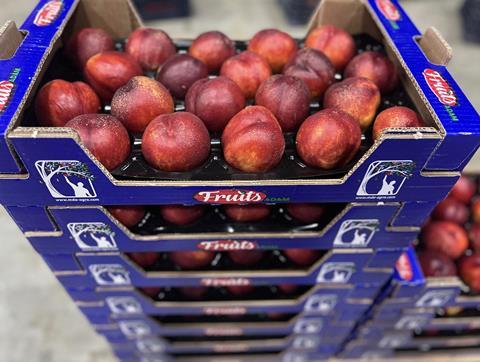 TR MDA Agro nectarines