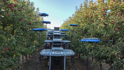 Tevel flying autonomous robots harvesting apples Unifrutti Chile
