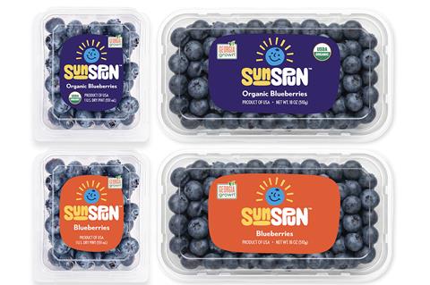 Sunspun brand redesign US blueberries