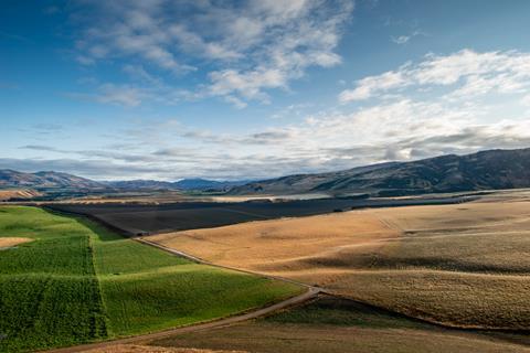 Tarras Cherry Corp orchards in Central Otago