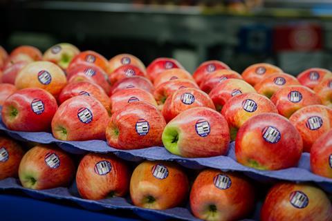 Copefrut Apples (1)