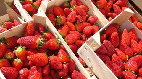 Erdbeeren