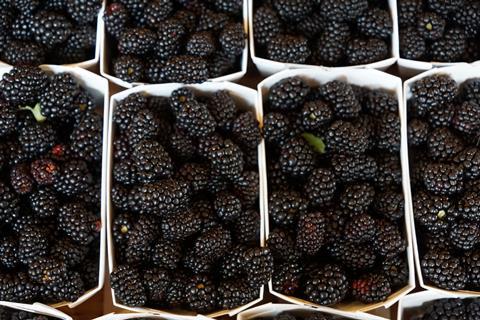 blackberries-862803