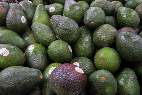 Avocados from Mexico on sale in US supermarket MUST CREDIT Scott Habermann - Adobe Stock
