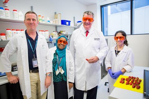 Australian researchers will attempt to identify the genes that influence strawberry characteristics such as colour