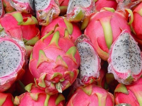 Vietnam dragonfruit