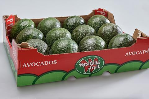 Westfalia avocados box AFL 2025