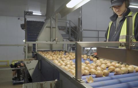 UK Moulton Bulb onions
