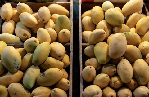VN mangoes