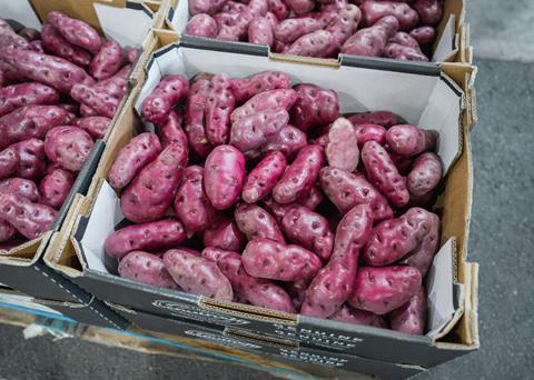 thumbnail_fruit_veg_market-39