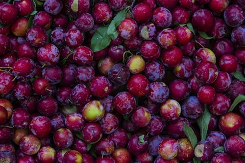 Rote, runde Pflaumen