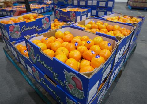 thumbnail_fruit_veg_market-6