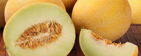 Fyffes melons