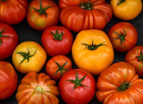 Tomatenvielfalt