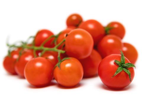 Tomaten