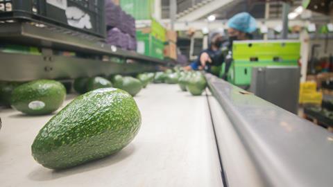 Apeam Mexican avocados