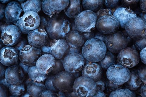 Blueberries top-down view closeup Adobe Stock