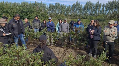 CBC regenerative agriculture