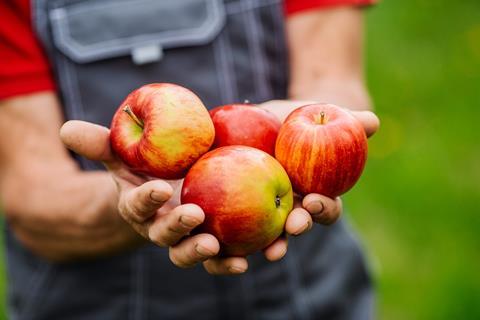 Äpfel in der Hand