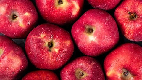 Red Delicious Adobe Stock