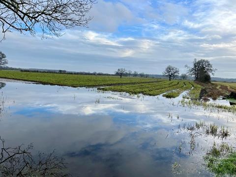 Flooded carrot field York 3