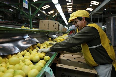 Argentina Lemons Packing to India