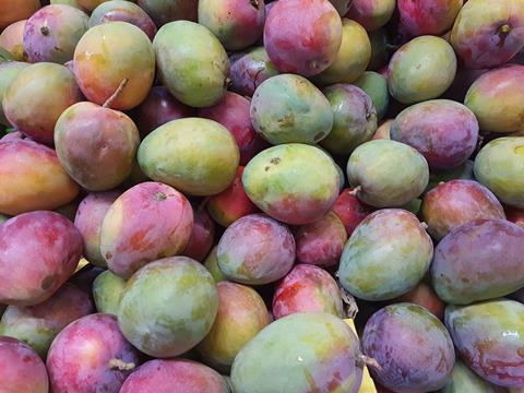 Tommy Atkins mango Adobe Stock