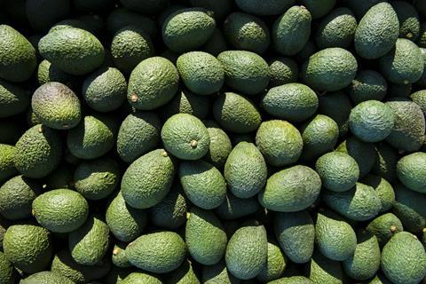 Hass Avocado Board Photo 1