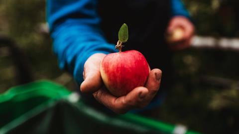 VIP Val Venosta apple grower